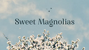 Sweet magnolias logo 2