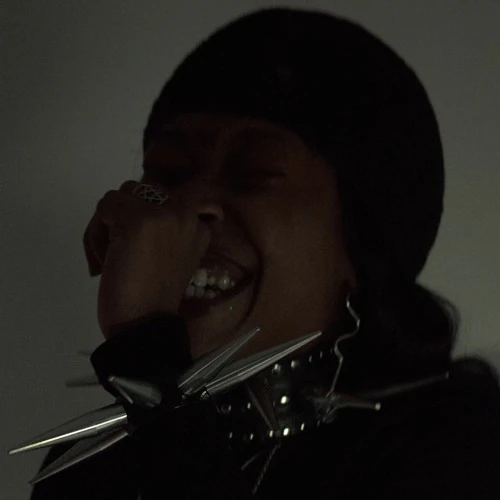 2020 Features | Swerzie Wiki | Fandom