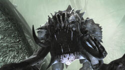 Bullrancor