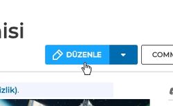 Sayfayı düzenlemek için "DÜZENLE" butonuna bas.