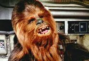 Chewbacca