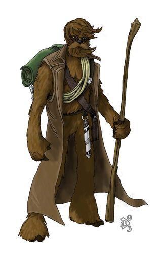 Jedi Explorer