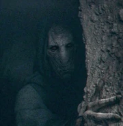 Dark Plagueis, le seigneur noir des sith ayant formé le futur empereur de la galaxie et celui qui apporta la victoire finale des sith.