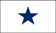 The "Blue Star Flag", an unofficial national flag of the Confederacy, and a generic War Flag flown by many different units