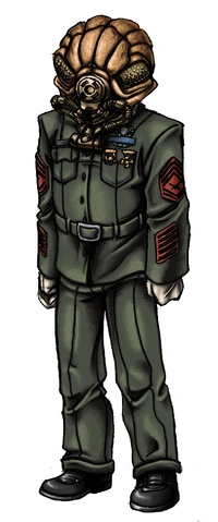 GySgt Tuffass, twenty years into his service