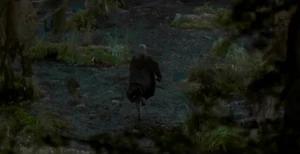 Qui-GonFleesFederation