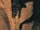 Sepheron