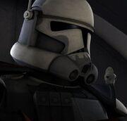 CC-2187 3