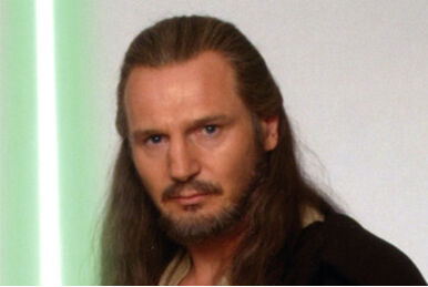 Qui-Gon Jinn (Powerstaark), Star Wars Fanon