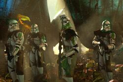 986th forest assualt