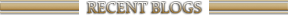 Fanpedia Blogs header.png