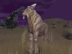 Kahmurra on talus