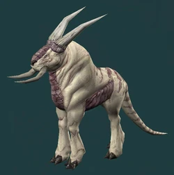 Kahmurra Blanca