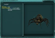 a cavern spider broodling