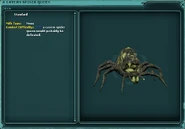 a cavern spider queen