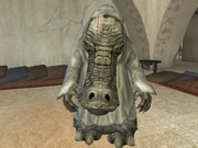 Ephant Mon in Jabba's Palace