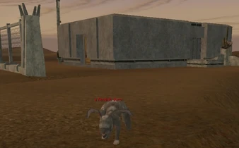 Abandoned Bunker