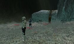 Dead troopers
