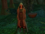 Toil and Trouble