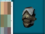 Chitin armor