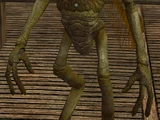 Geonosian
