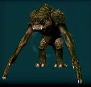 Rancor