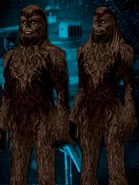 Wookiee g.jpg (57 KB) Wookiee