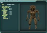 a beguiling Pubam scout