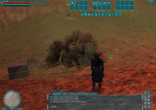 Squill Lair.png