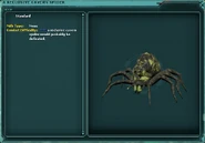 a reclusive cavern spider