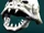 Skull of the Jundak