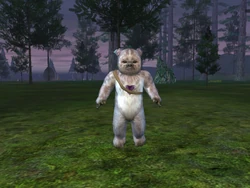 Kyoopid at the Ewok village