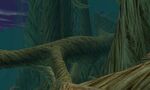 Webweaver path1