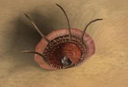 Close-up of the Tatooine Sarlaac