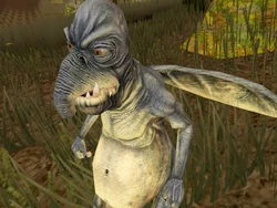 Toydarian Male