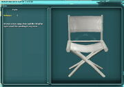 Wayfar spy camp chair.jpg