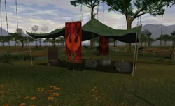 The Rebel camp.