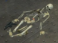 The Corpse of Hershel Sheridan