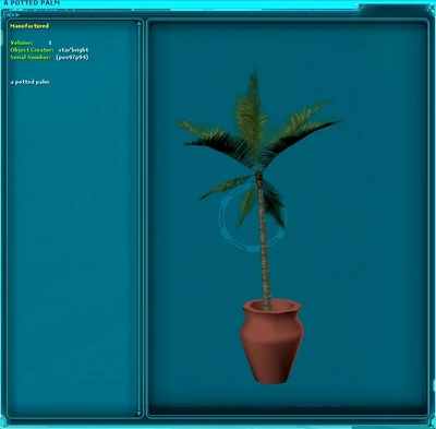 A Potted Palm