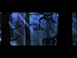  and his party desendig to the  of 