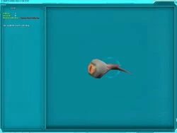 A Ruptured Rancor Eye | SWG: Prophecy Wiki | Fandom