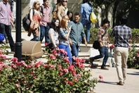 136091 1629 pre.jpg (129 KB)