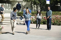 136091 1643 pre.jpg (106 KB)