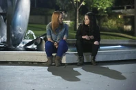 136091 2173 pre.jpg (61 KB)