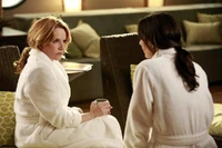 132732 5617 pre.jpg (80 KB)