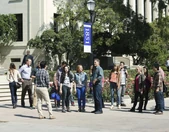 136091 1683 pre.jpg (138 KB)