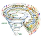 Хронология