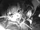 Renri