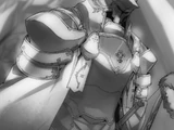 Chevalier de l'Intégrité