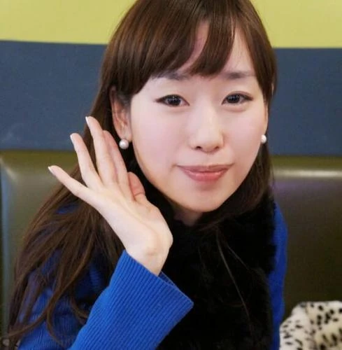 Ho Pyon Kan Sword Art Online Viki Fandom